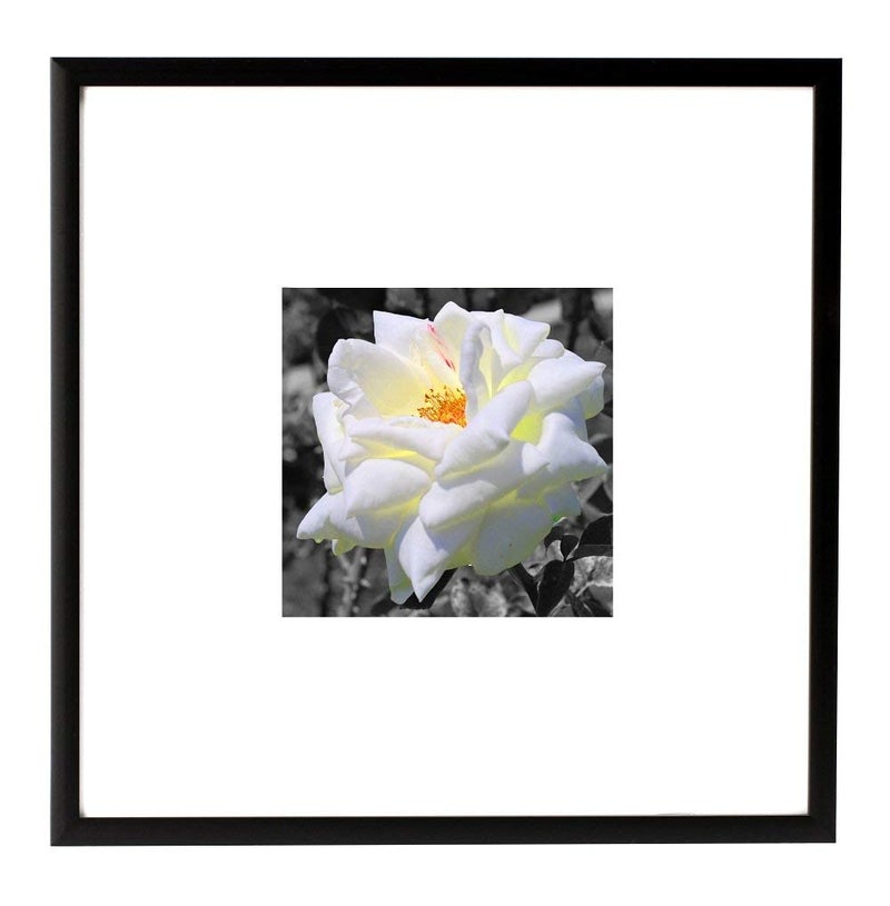 Frametory, 8x8 Black Aluminum Picture Frame - Set of 1 - Ideal for Displaying 4x4 Photos with Mat or 8x8 Without Mat - Real Glass Front - Simple Gallery Wall Frames for Art Prints and Posters - Image 5